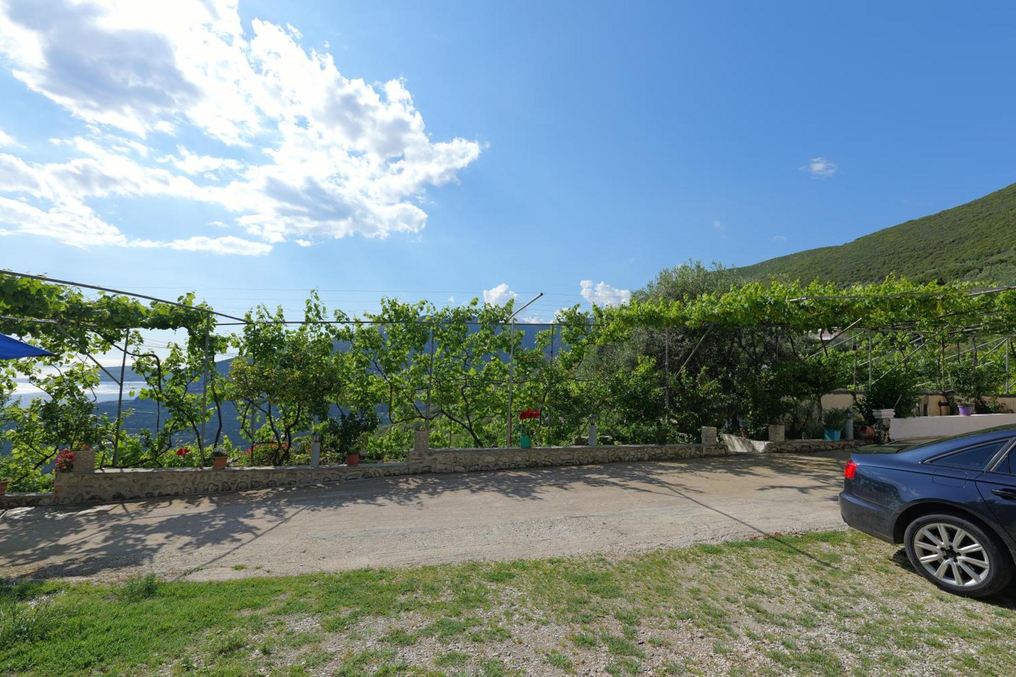 Vila Arturi Borsh Exterior foto