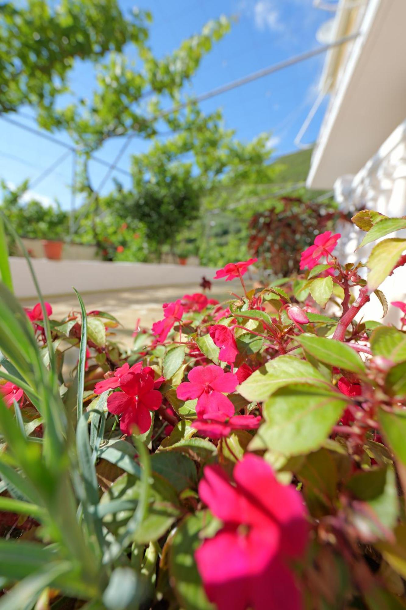 Vila Arturi Borsh Exterior foto