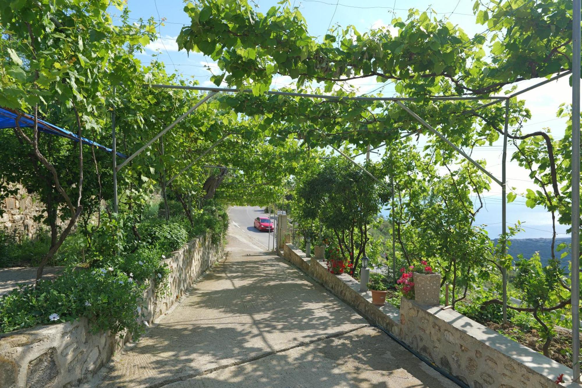 Vila Arturi Borsh Exterior foto